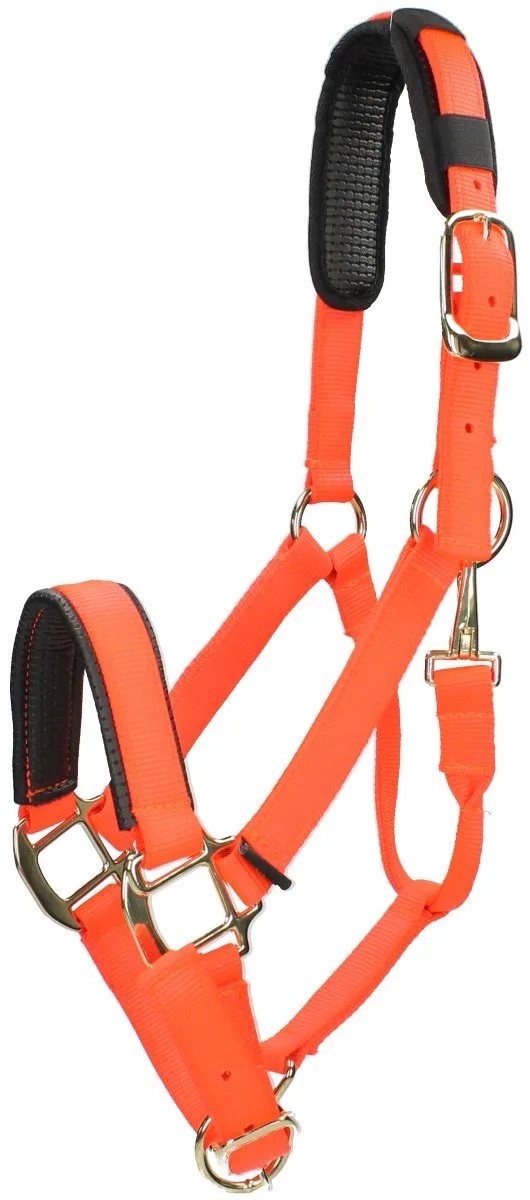 Halster Shires Nylon Topaz de Shires en Orange – photo produit