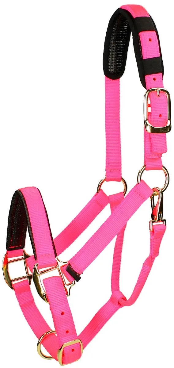 Halster Shires Nylon Topaz von Shires in Rosa – Produktfoto