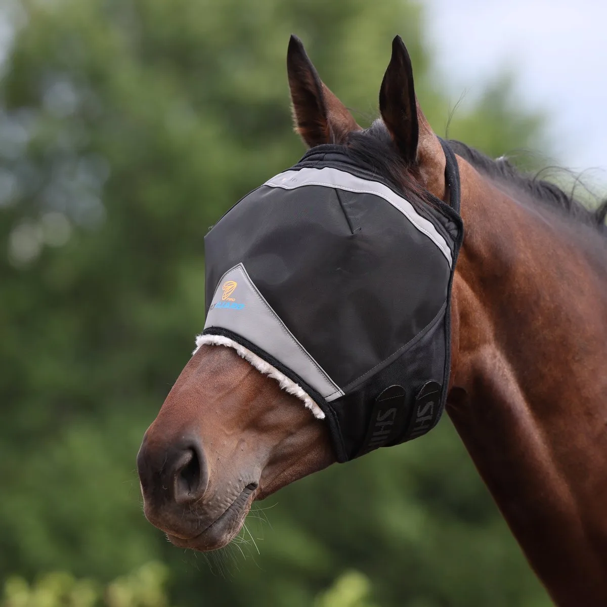 Vliegenmasker zonder oren-Jet-Black-Pony von Shires – Produktfoto
