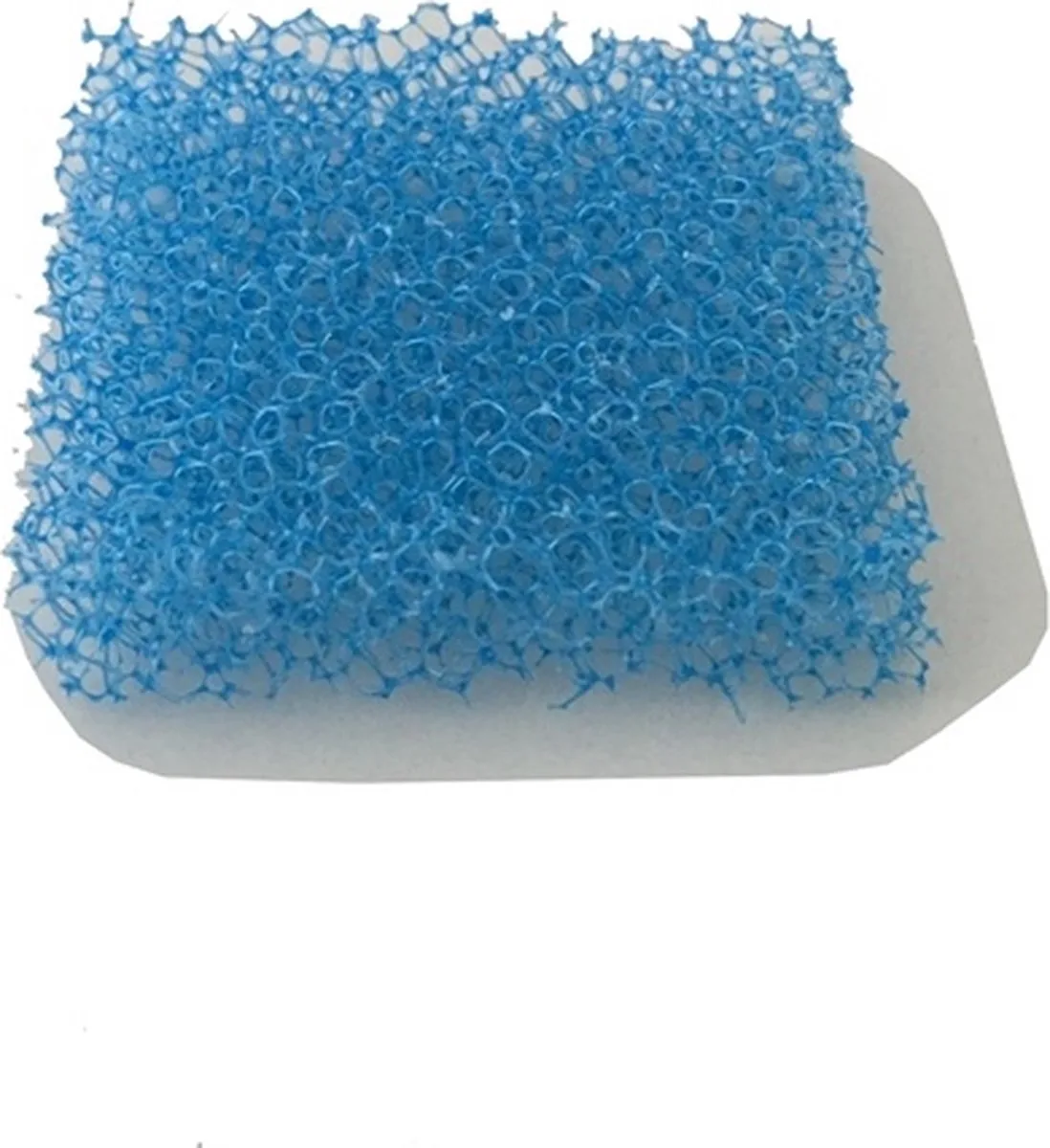 Micra-Micraplus/Co2 Life Sponges (10 Stuks) de Sicce – photo produit