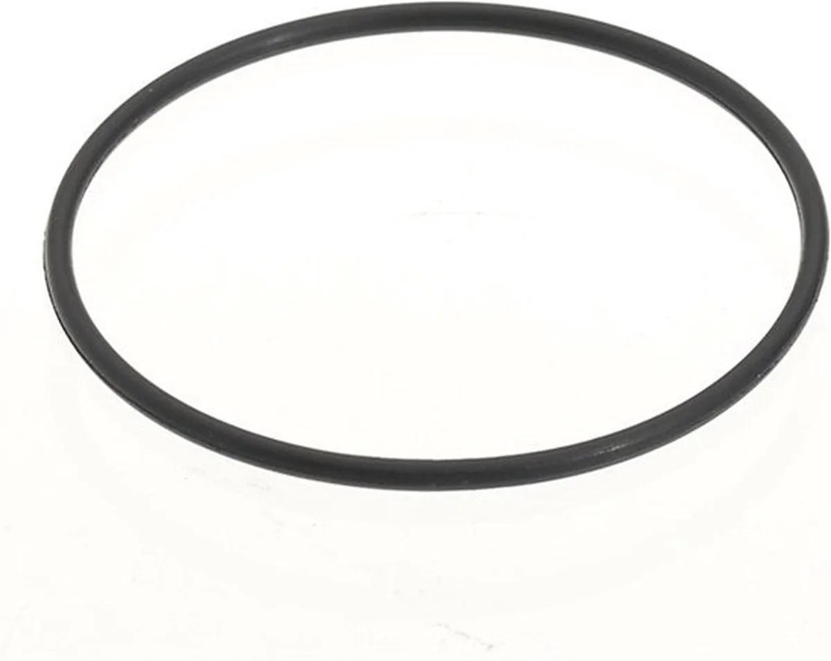 Syncra Nano O-Ring van Sicce in Zwart – productfoto