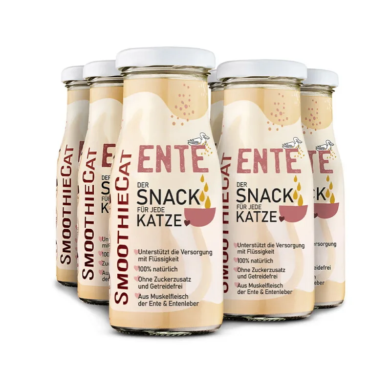 Ente 12x 150 ml de Smoothiecat en Regular – photo produit