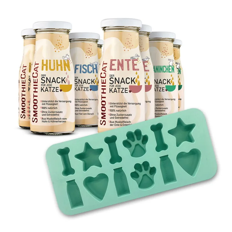 Mix + Eiswürfelform 8x150 g von Smoothiecat in Regular – Produktfoto