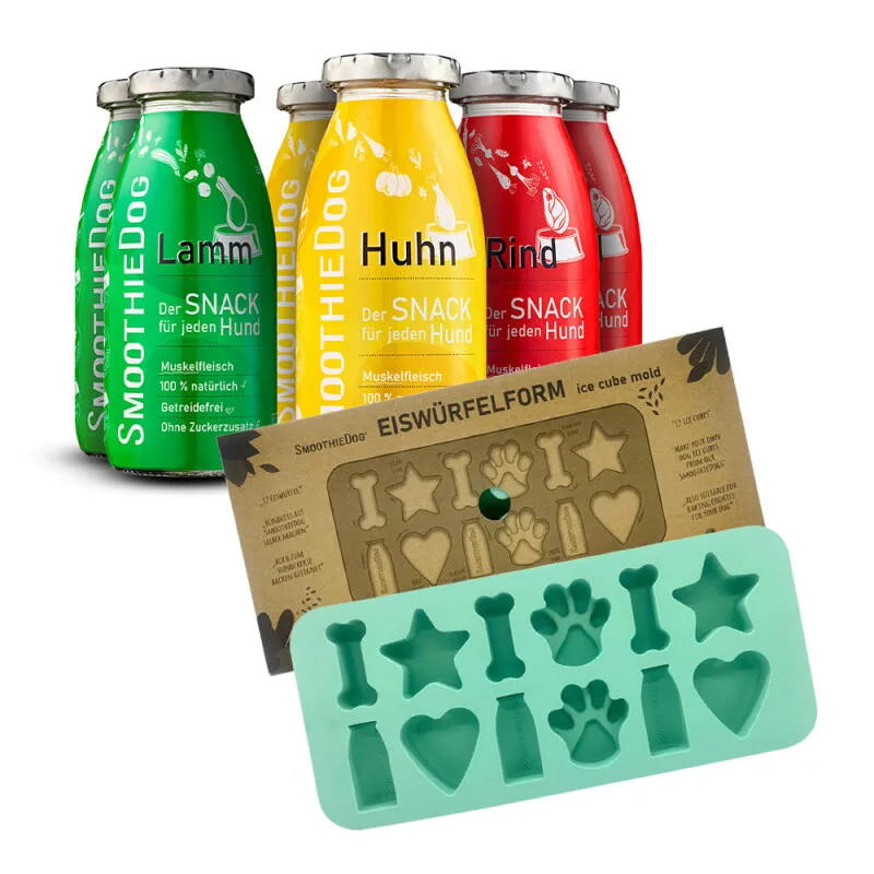 Klassik 6x 250 ml + Eiswürfelform von Smoothiedog in Regular – Produktfoto