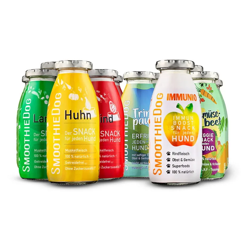 Mix 12x250 ml von Smoothiedog in Regular – Produktfoto