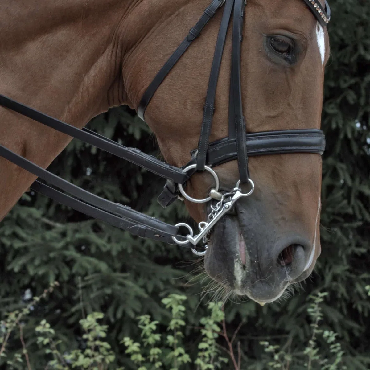 KK Enkel Gebroken Sensogan 14 de Sprenger en Kleurloos – photo produit