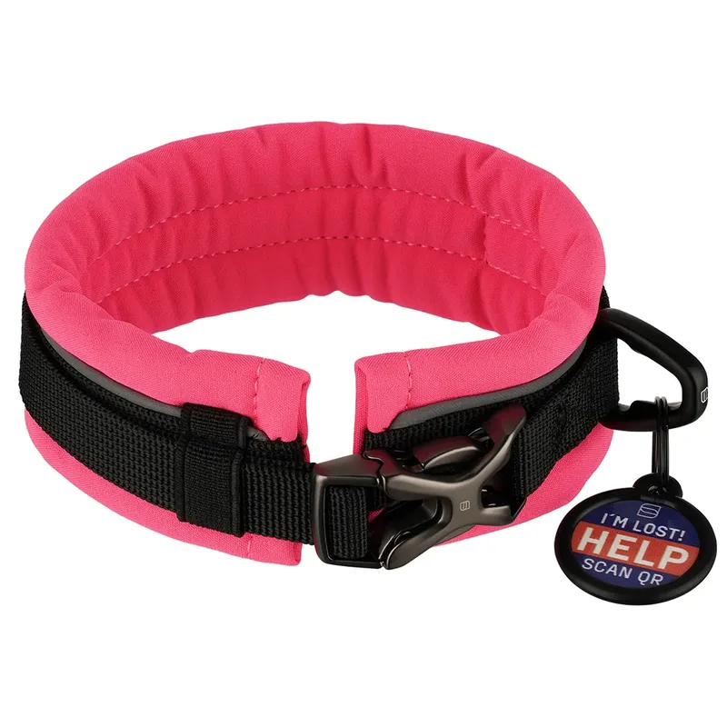 Padded Hondenhalsband by Sprenger – product photo
