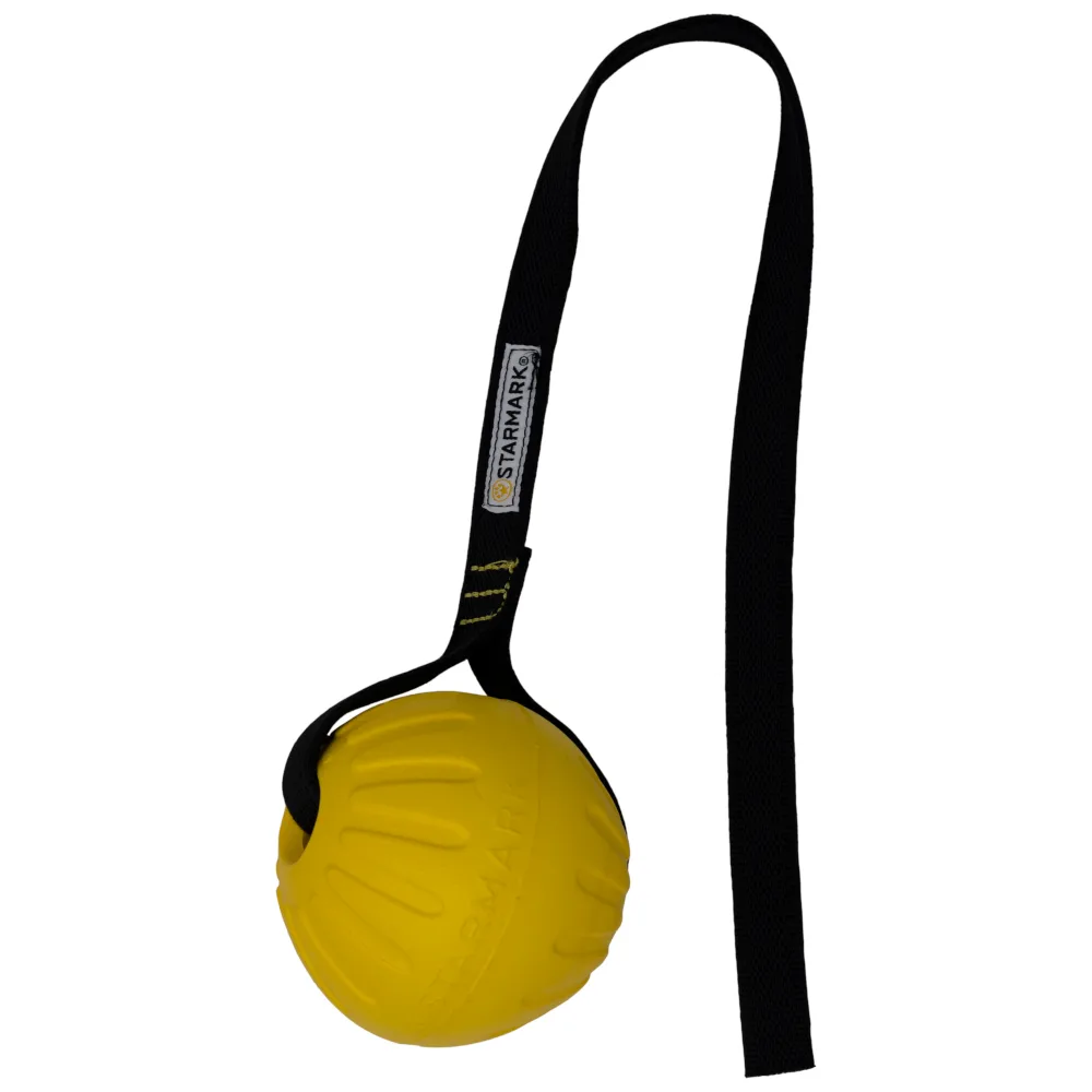 GripCord Durafoam Ball Cord M Hond by Starmark – product photo