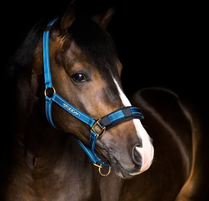 Luxe Halster met Gel de Stübben en Bleu – photo produit