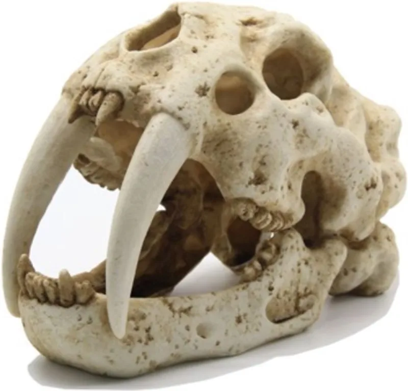 Aquarium decoratie - Tijger schedel - 23x13x16 cm by SuperFish in Beige – product photo