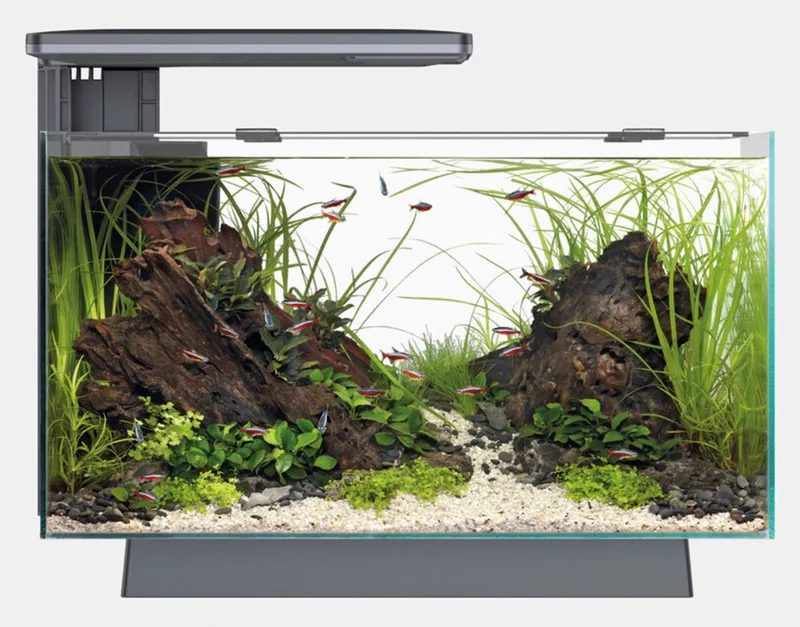 Aquarium - Quadro 40 pro - Verlichting - Filter - 28L by SuperFish in Black – product photo