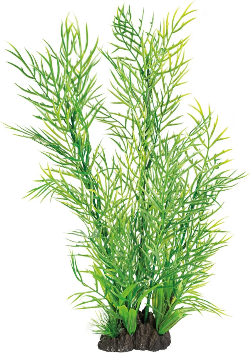 Art Plant 40CM Ceratopteris van SuperFish in Color – productfoto