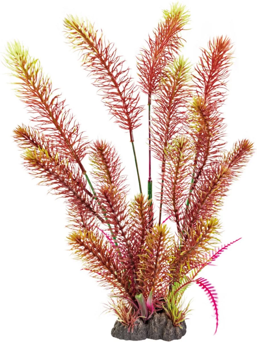 Art Plant 40CM Myriophyllum Red de SuperFish en Rouge – photo produit