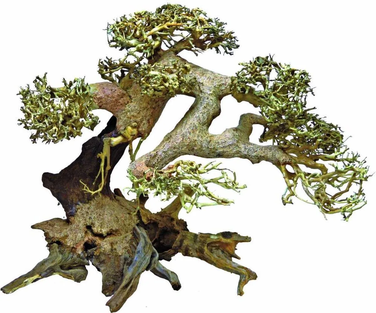 Bonsai Driftwood Large van SuperFish in Color – productfoto