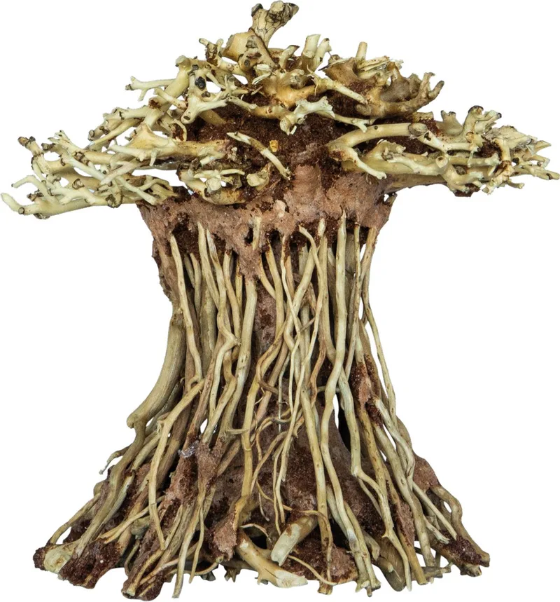 Bonsai Mushroom - Aquarium - Ornament - Small by SuperFish in Blue – product photo