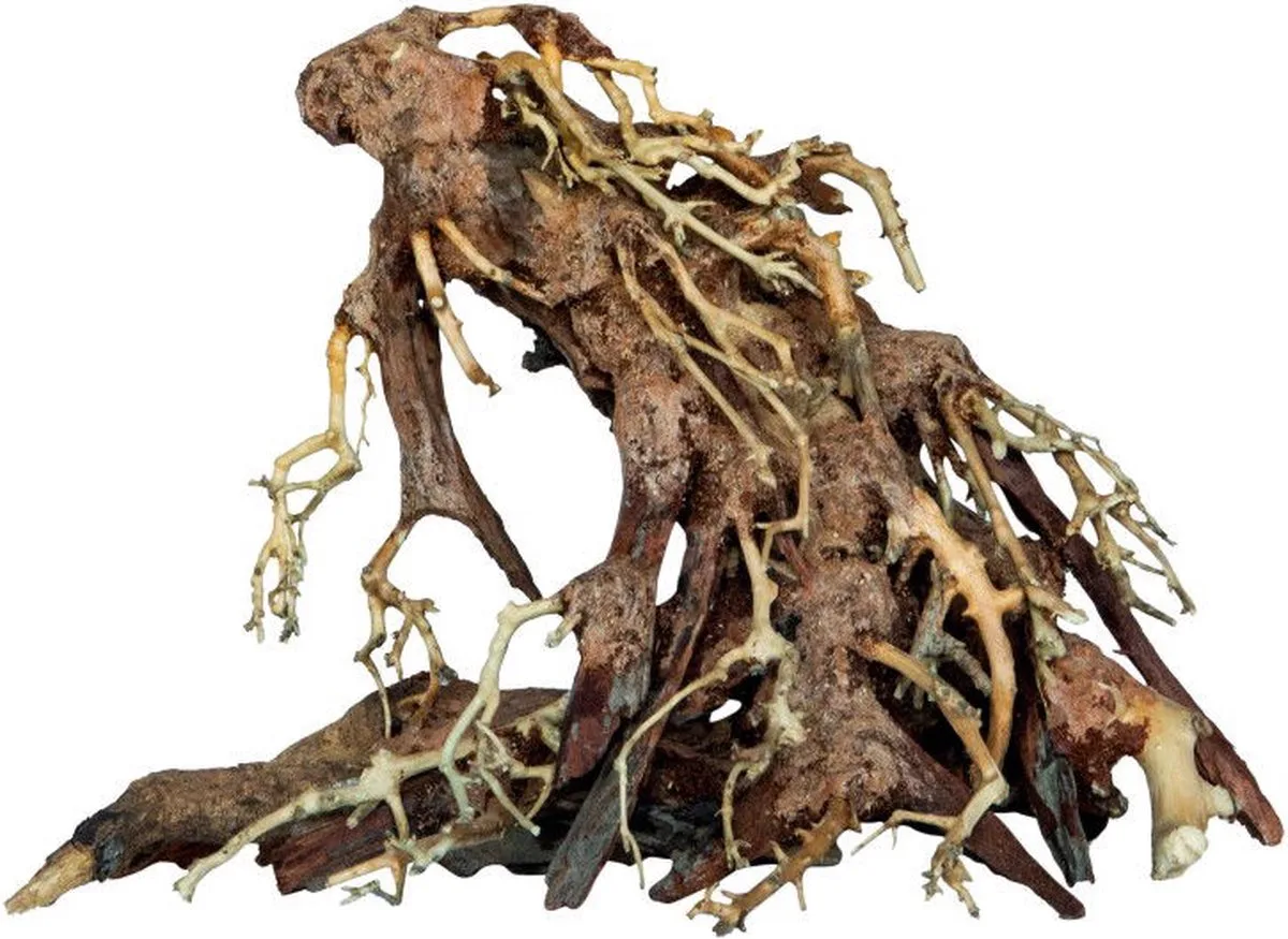 Bonsai root small - 13 x 10 x 13 cm van SuperFish – productfoto