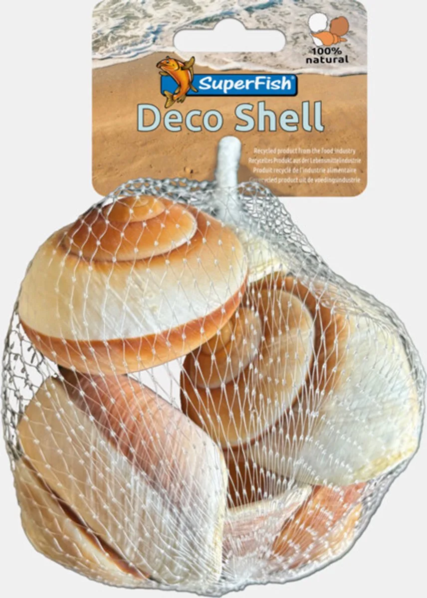 Deco schelp slak bruin-wit | natuurlijke schuilschelpen | 200 gram de SuperFish en Blanc – photo produit