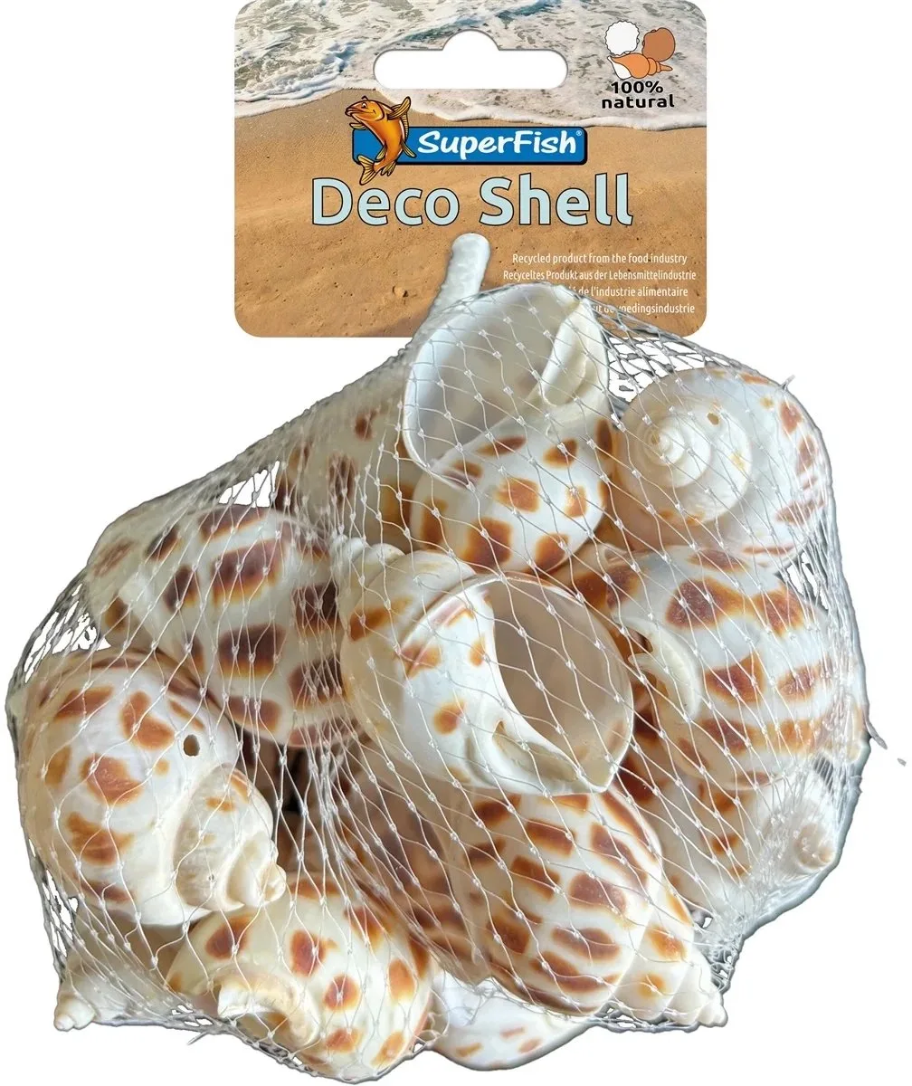 Deco schelp spiraal gestreept 200 gram | natuurlijke aquariumdecoratie voor zoet- en zoutwater by SuperFish in Color – product photo