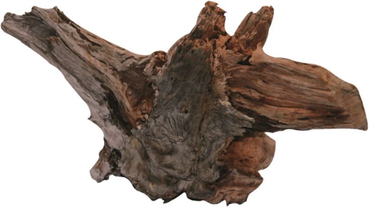Driftwood - Aquariumdecoratie - Large - 48 tot 60 cm de SuperFish en Marron – photo produit
