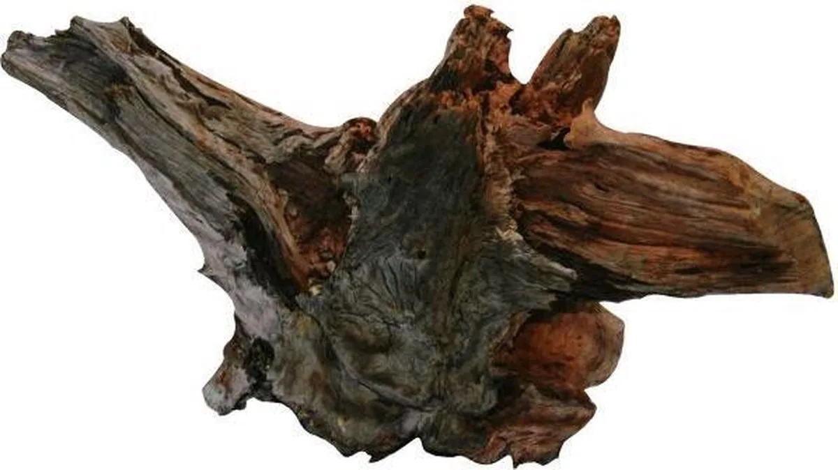 Driftwood - Aquariumdecoratie - M/L - 38 tot 46 cm de SuperFish en Marron – photo produit