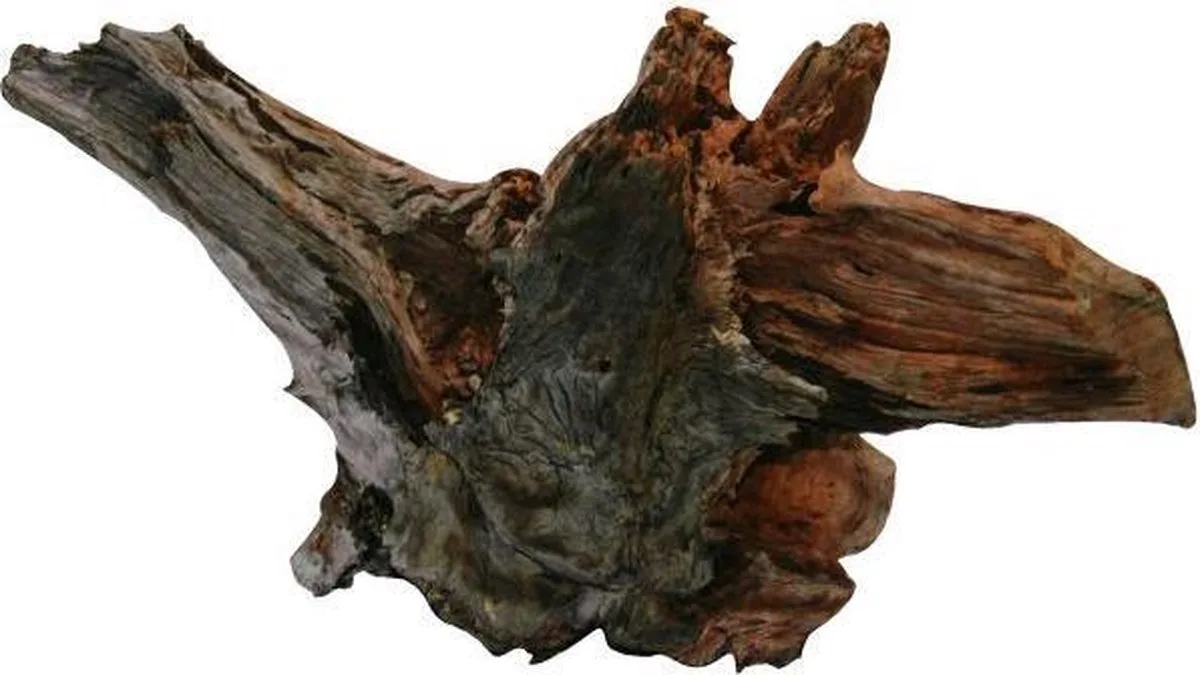 driftwood extra extra large - 1 st de SuperFish en Marron – photo produit