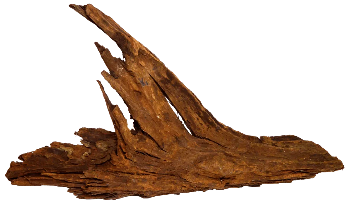 Driftwood Ss aquaria SuperFish van SuperFish – productfoto