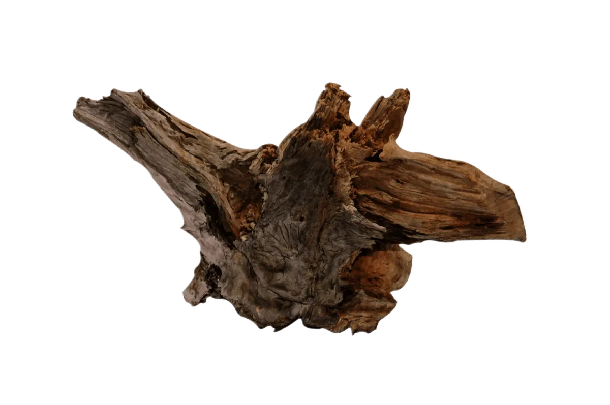 Driftwood Xxl aquaria SuperFish van SuperFish – productfoto