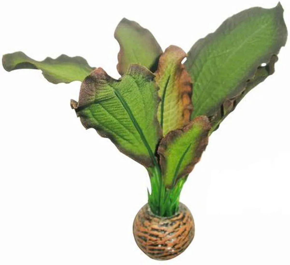 easy plants voorgrond nr. 3, van zijde 13 cm - 1 ST de SuperFish en Vert – photo produit