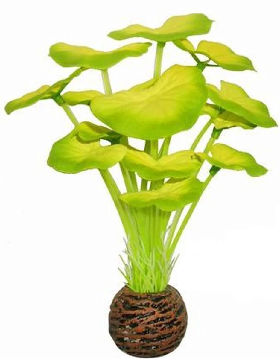 easy plants voorgrond nr. 5 - van zijde 13 cm - 1 ST de SuperFish en Vert – photo produit