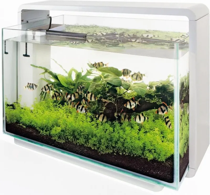 Glazen dekruit home aquarium 80 by SuperFish in Transparent – product photo