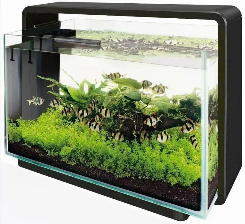 Home 65 van SuperFish – productfoto