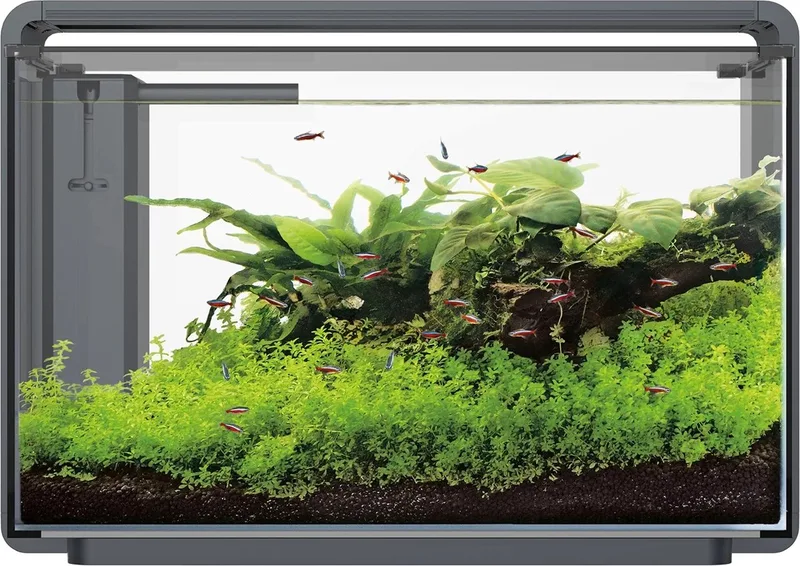 Home Proled 65 Aquarium - Aquarium by SuperFish in Black – product photo