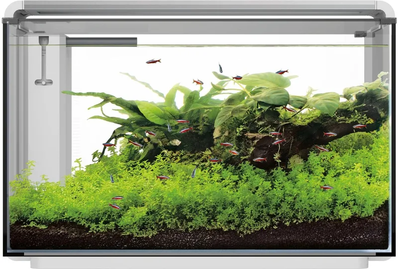 Home Proled 85 Aquarium - Aquarium by SuperFish in White – product photo