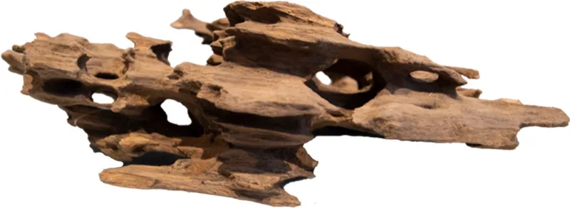 Honeycomb Wood aquarium decoratiehout | Small ca. 20 cm | natuurlijke schuilplaats fra SuperFish i Brun – produktbillede