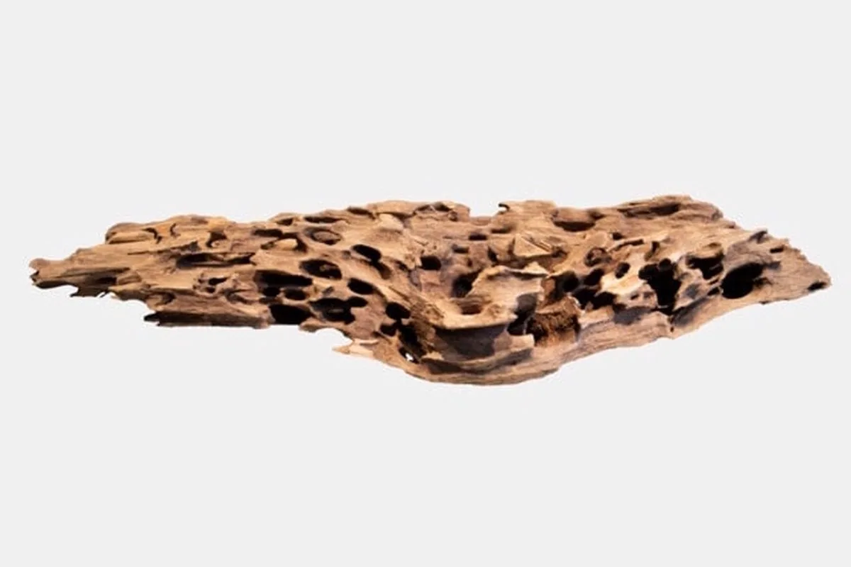 Honeycomb Wood X Large natuurhout aquariumdecoratie | ca. 50 cm von SuperFish in Braun – Produktfoto