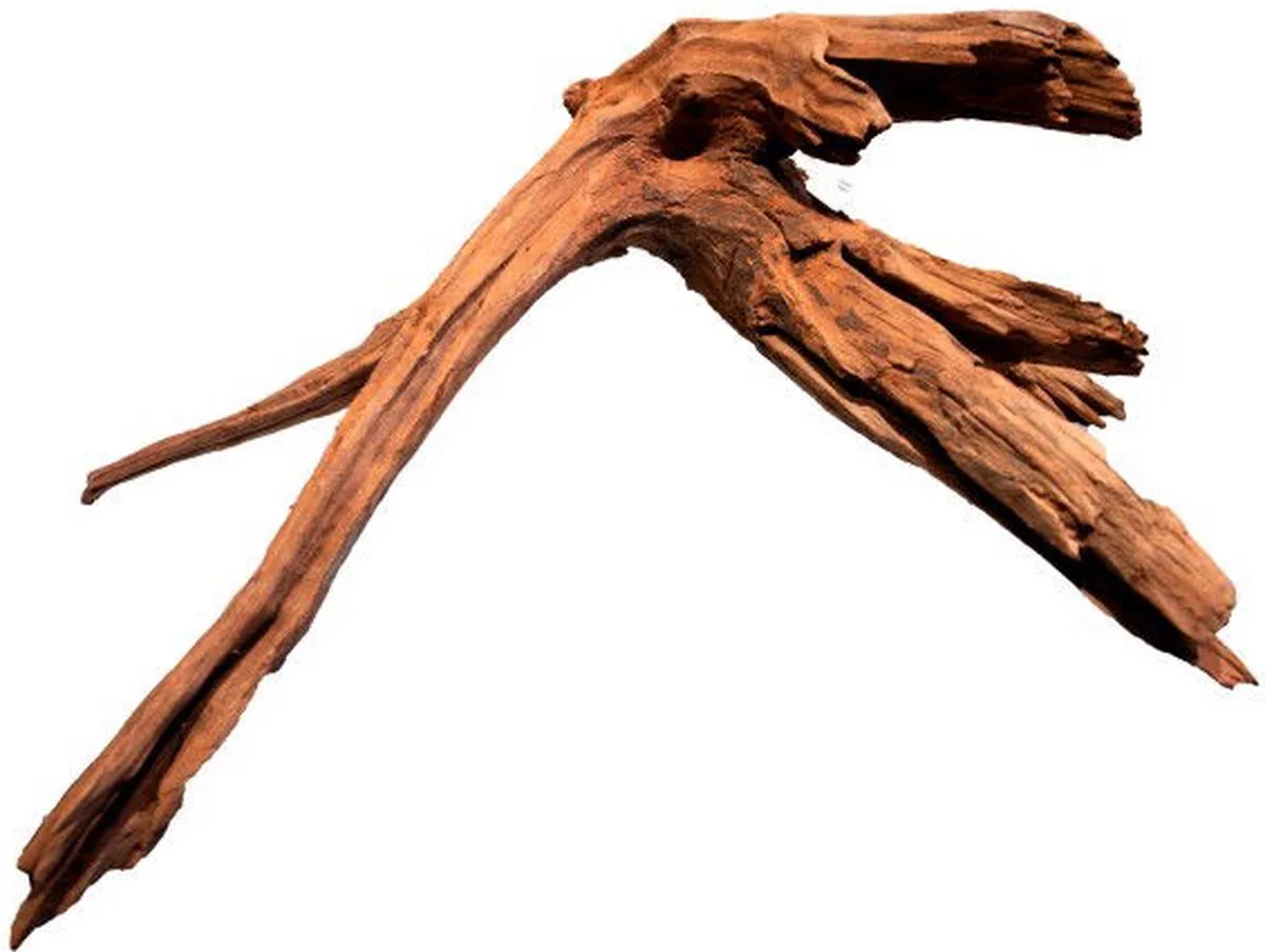 Mangrove Aged Wood aquariumhout L de SuperFish en Marron – photo produit