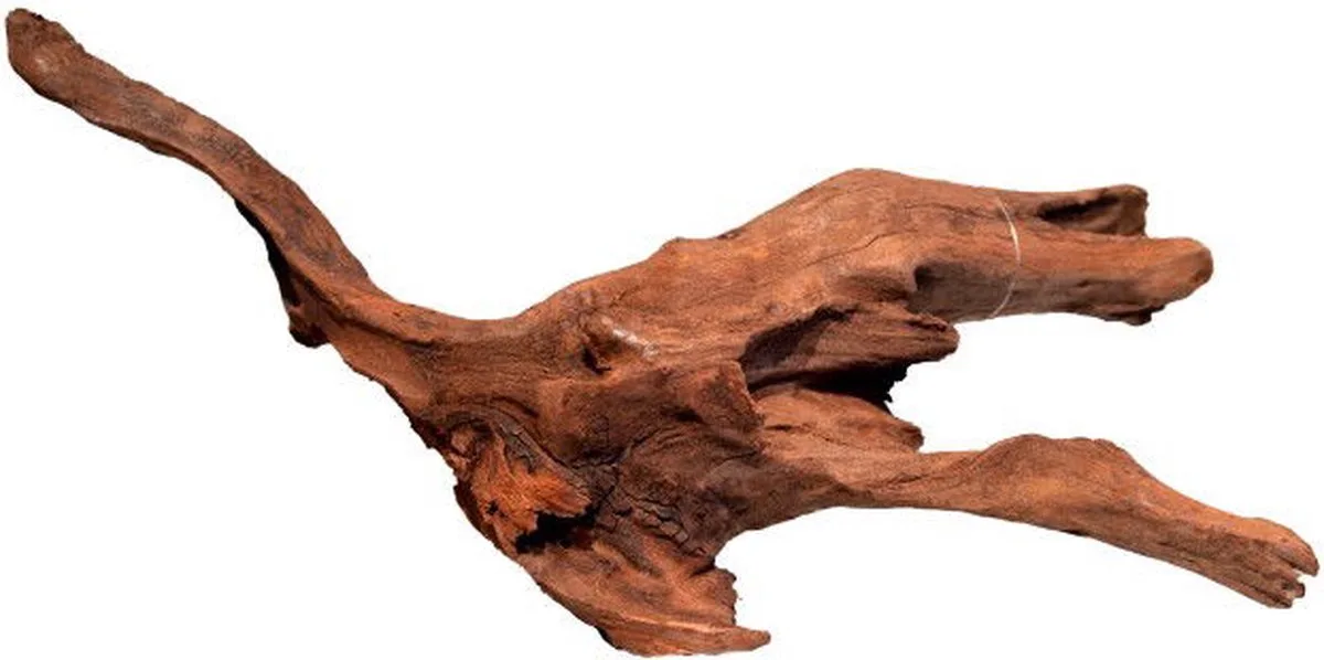 Mangrove Aged Wood aquariumhout M de SuperFish en Marron – photo produit