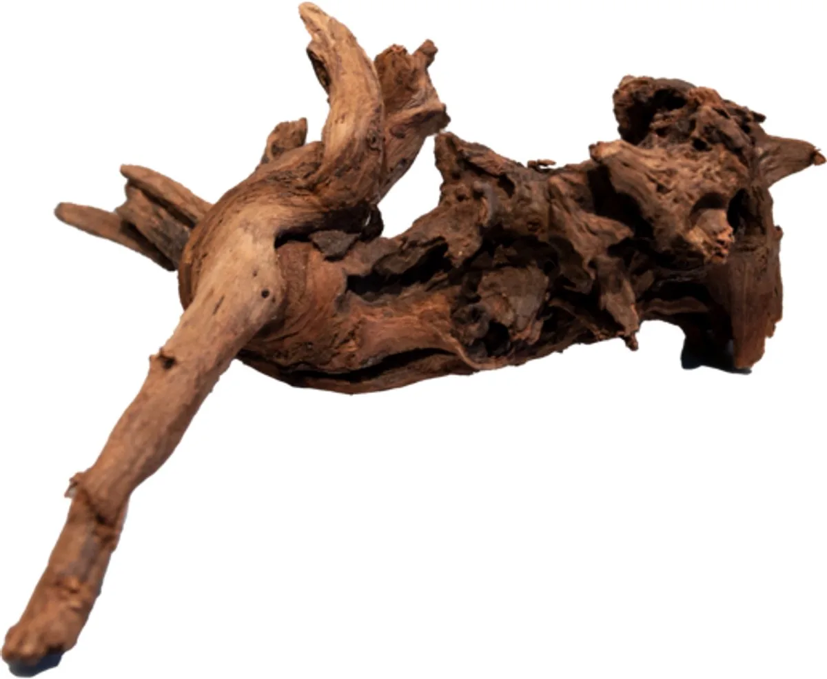 Mangrove Aged Wood aquariumhout S de SuperFish en Marron – photo produit
