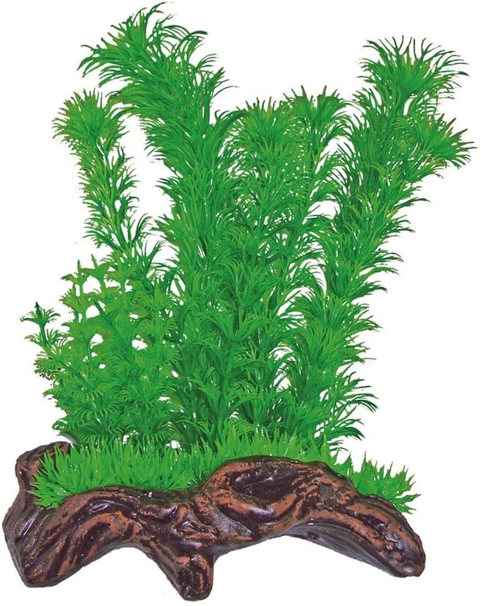 nano wood garden nr 1 by SuperFish in Green – product photo