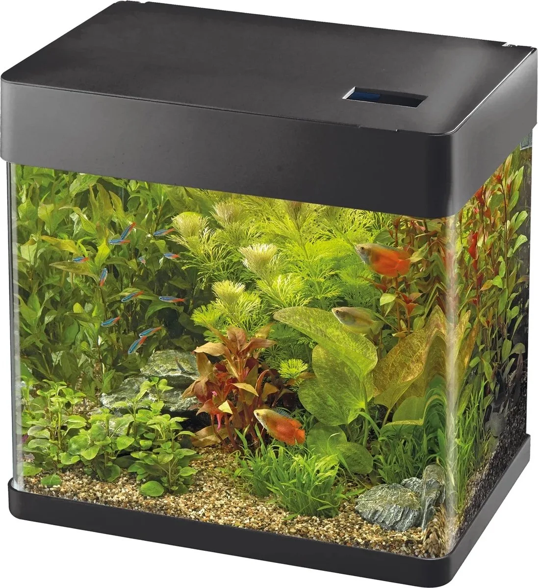Panorama 35 | 30L | 38 x 25 x 38 CM von SuperFish in Schwarz – Produktfoto
