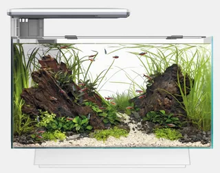 Quadro 40 Multi Colour - Aquaria - Led Voet