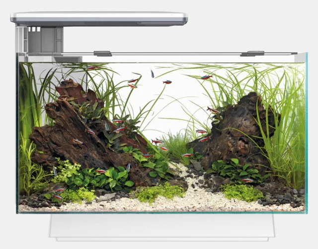 Quadro 40 Multi Colour - Aquaria - Led Voet