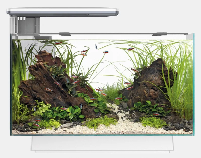 Quadro 40 Multi Colour - Aquaria - Led Voet by SuperFish in White – product photo