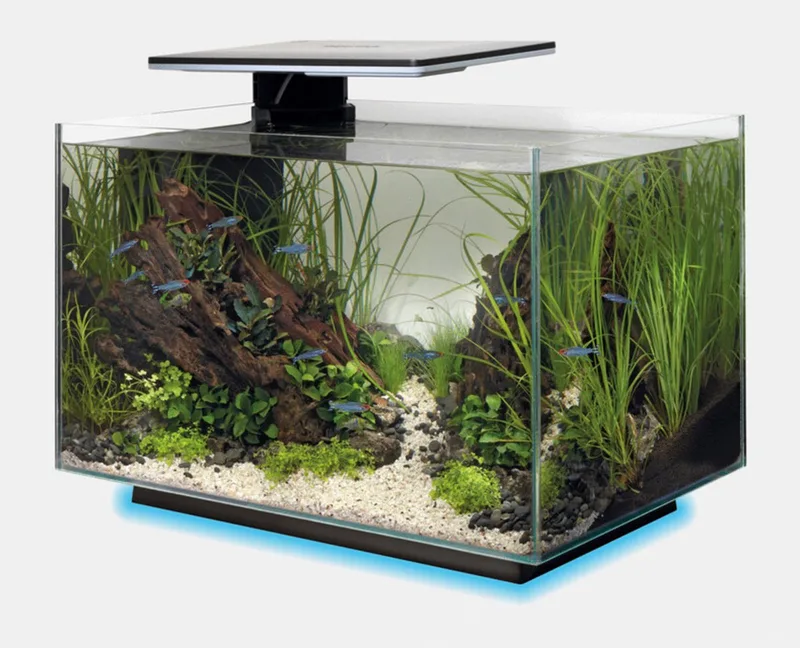 Quadro 40 Multi Colour - Aquaria - Led Voet by SuperFish in Black – product photo