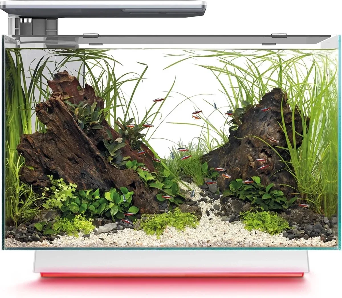 Quadro 70 Multi Colour | 67L | 55 x 35 x 45,7 CM von SuperFish in Weiß – Produktfoto