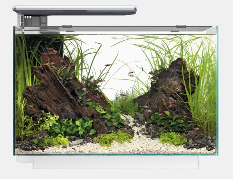 Quadro 70 Pro - Aquaria by SuperFish in White – product photo