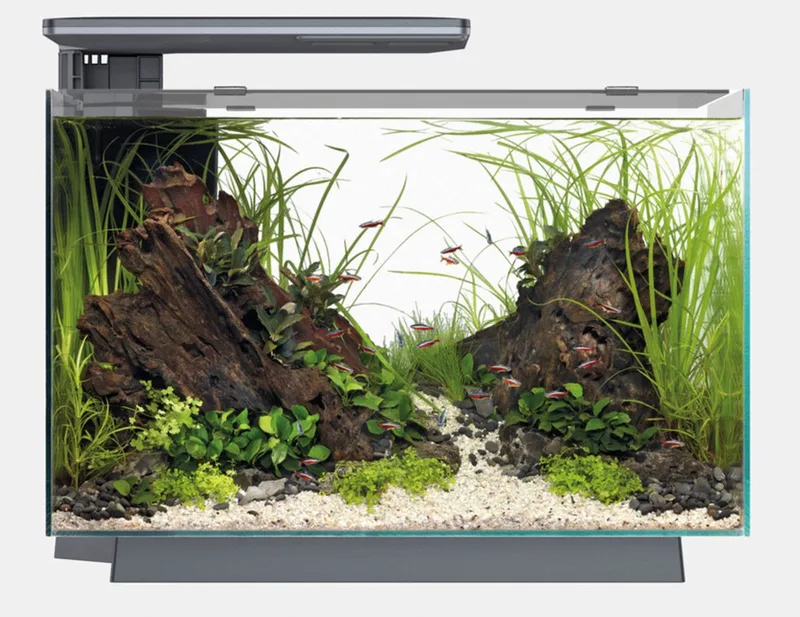 Quadro 70 Pro - Aquaria de SuperFish en Noir – photo produit