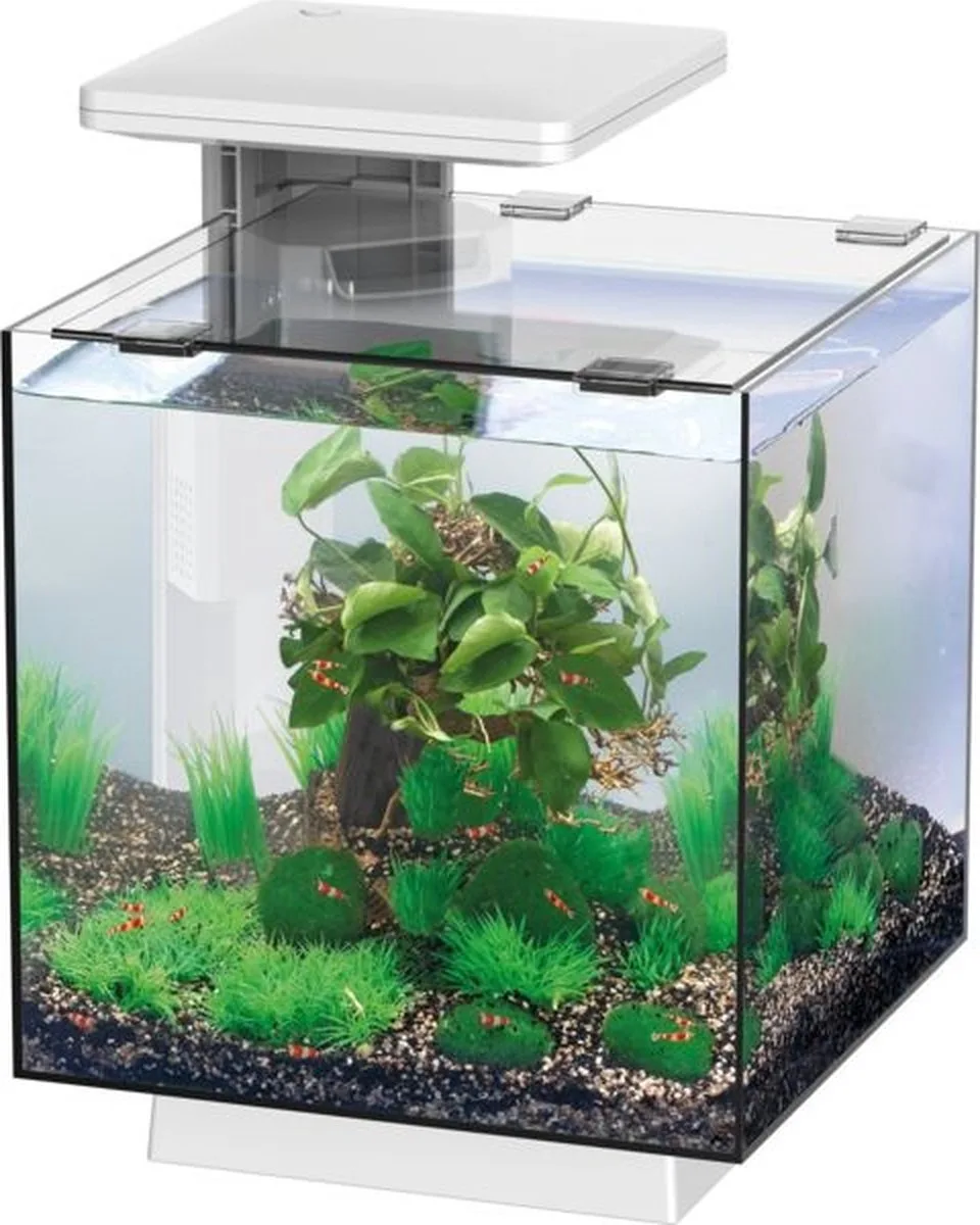Qubiq 15 LED fra SuperFish i Hvid – produktbillede