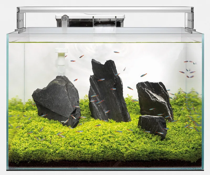 Scaper 60 - Aquaria - 50x35x35 cm 60 l Transparant de SuperFish en Noir – photo produit