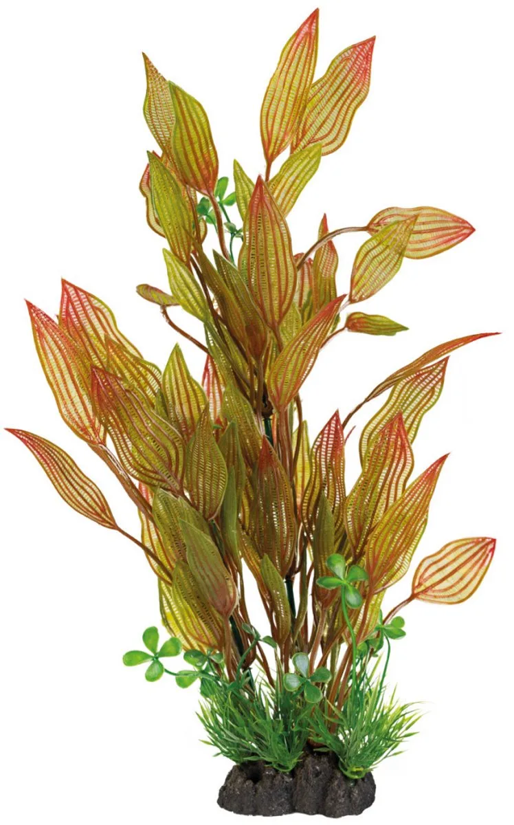 Sf art plant 40 cm henkelianus de SuperFish en Marron – photo produit